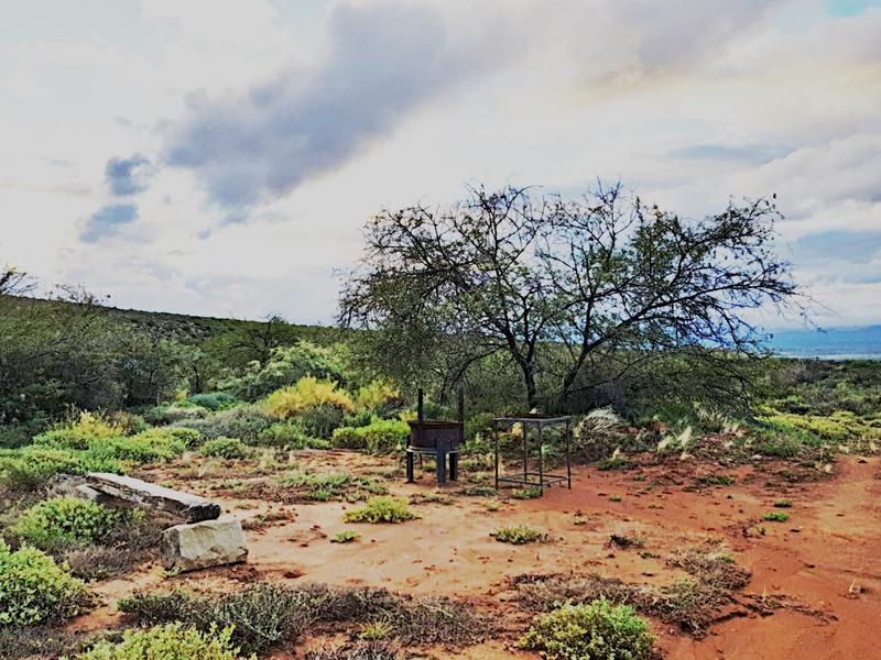 0 Bedroom Property for Sale in Calitzdorp Western Cape